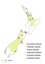 Dryopteris dilatata distribution map based on databased records at AK, CHR & WELT.
 Image: K.Boardman © Landcare Research 2020 CC BY 4.0